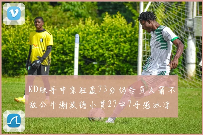 KD联手申京狂轰73分仍告负火箭不敌公牛谢泼德小贾27中7手感冰凉