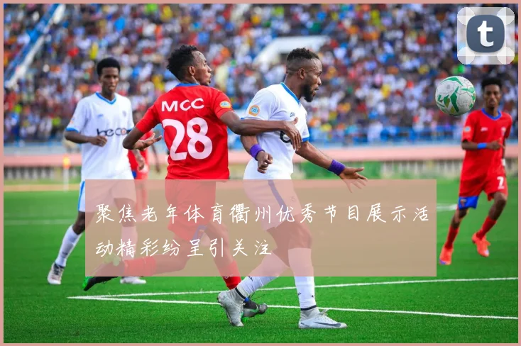 聚焦老年体育衢州优秀节目展示活动精彩纷呈引关注
